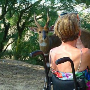 On Safari in South Africa while in a wheelchair