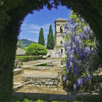Alhambra Garden View