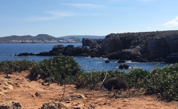 Balearic Islands, Menorca Sight Seeing