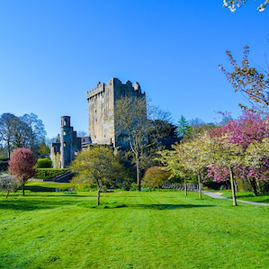 Blarney Castle Cork Ireland Blossom