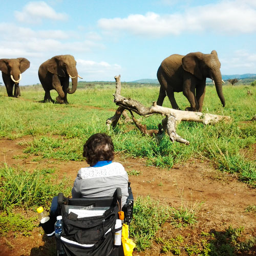 Checking out the elephants on safari