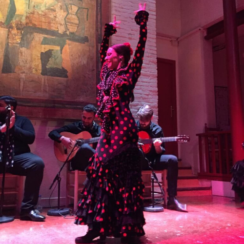 Flamenco show dancer