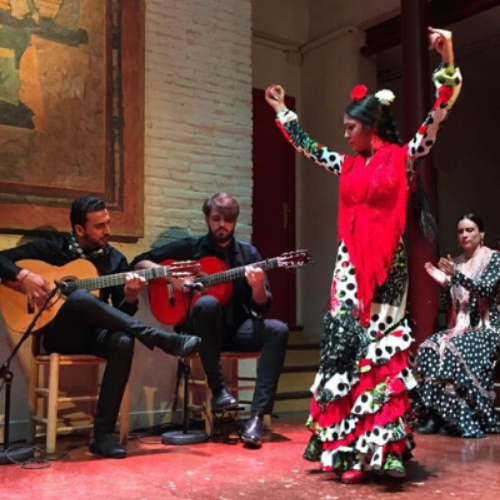 Flamenco show