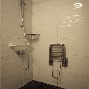 accessible shower with seat