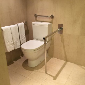 accessible toilet 1