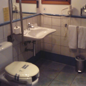 accessible toilet