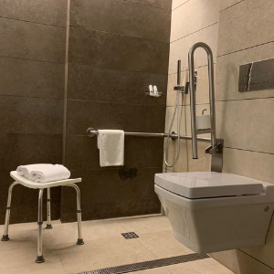 accessible toilet and shower with seat