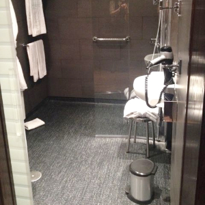 accessible shower