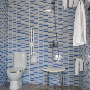 accessible shower with showerseat and toilet