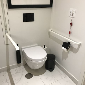accessible toilet with alarm cord