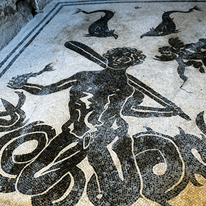 Herculaneum Mosaic Floor