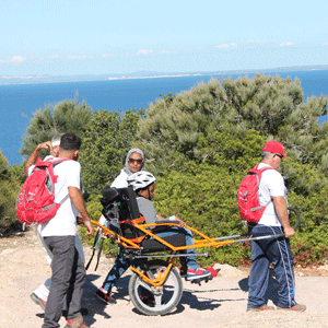 Mallorca Palma Wheelchair Accessible Tour and Shore Excursion, Wheelchair Accessible Boat Tour incl visit to the Mountains