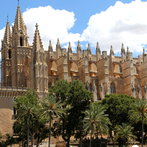 Mallorca Palma Wheelchair Accessible Guided Tour and Shore Excursions