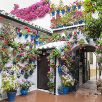 Córdoba patios