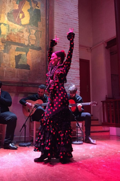 Flamenco show dancer
