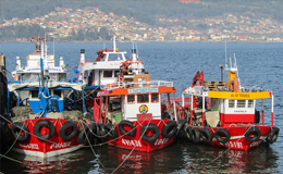 Spain Vigo Fishing boats