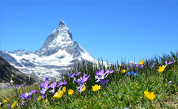 ZERMATT