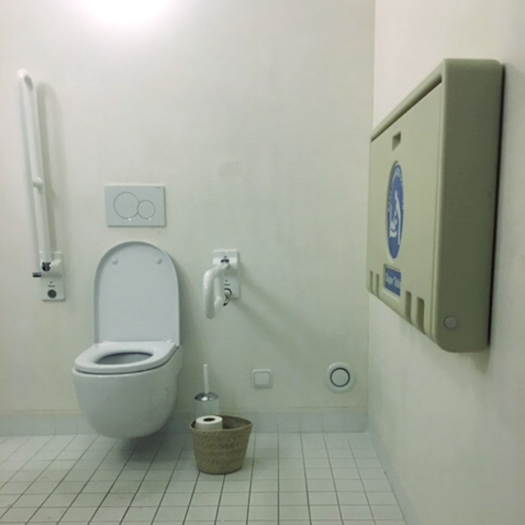 Accessible toilet_accessaloo
