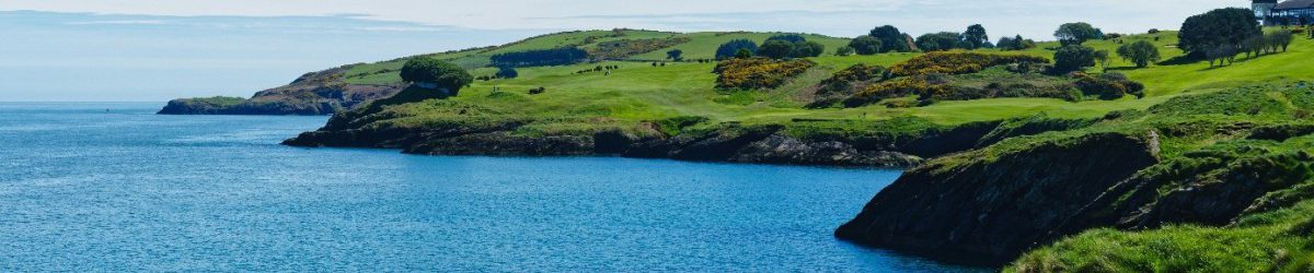 wicklow ocean view