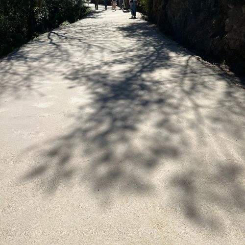 asphalted smooth pathway asphalted smooth pathway