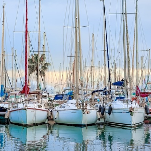 boats in the harbor of Mallorca