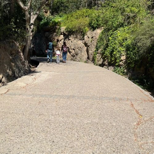 Concrete path leading to Casa Trias Concrete path leading to Casa Trias