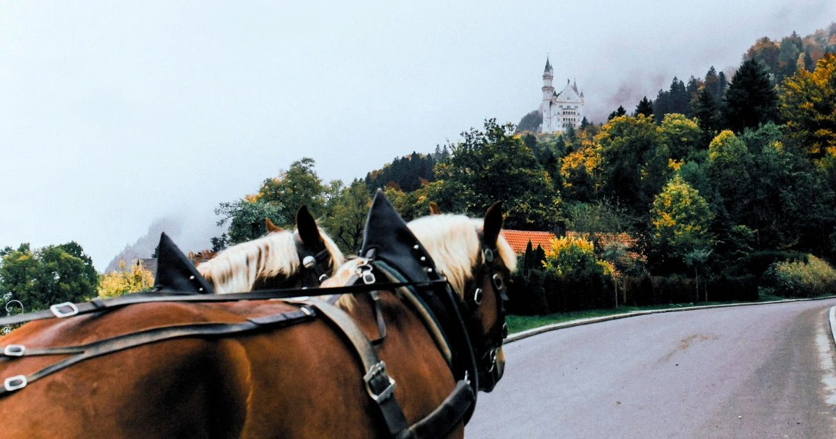 Horse carriage up to Neuschwanstein Castle