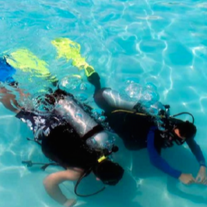 2 scuba divers in water