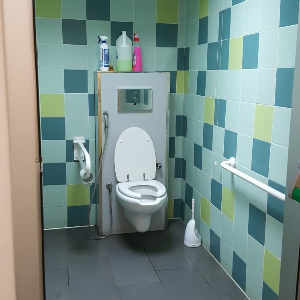 inside accessible toilet Colosseum