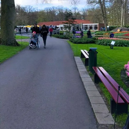 Keukenhof asphalted path