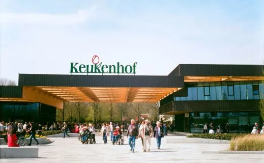 WHEELCHAIR ACCESSIBILITY OF KEUKENHOF