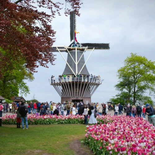 Keukenhof mill