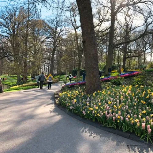 Keukenhof pathway