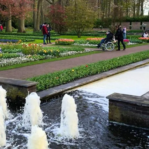 Keukenhof stroll
