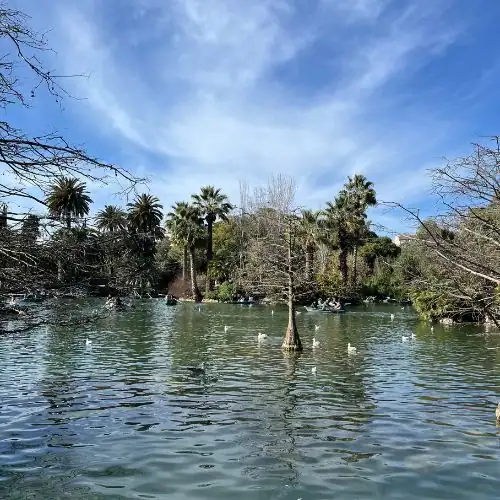 Lake