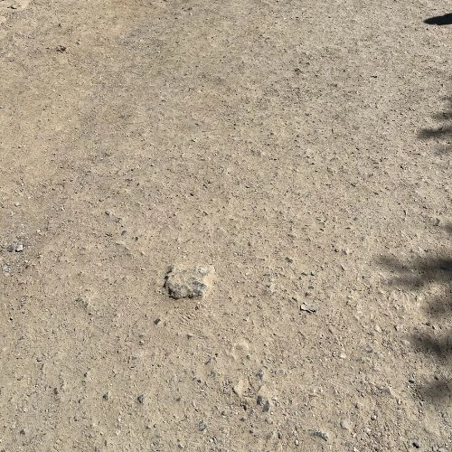 large stone in compacted gravel path large stone in compacted gravel path
