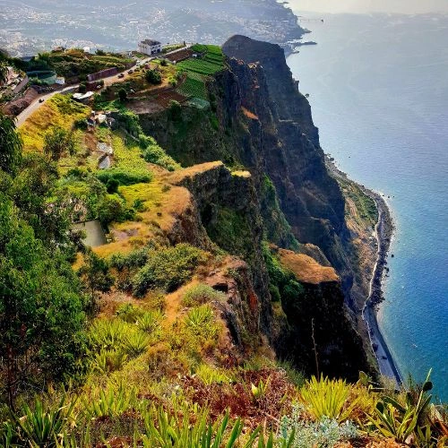 Madeira clifs