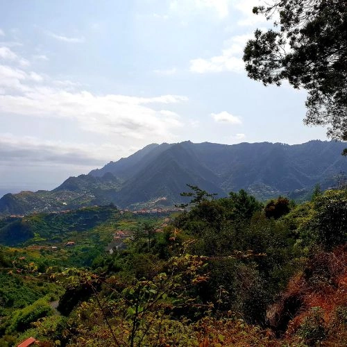 Madeira nature