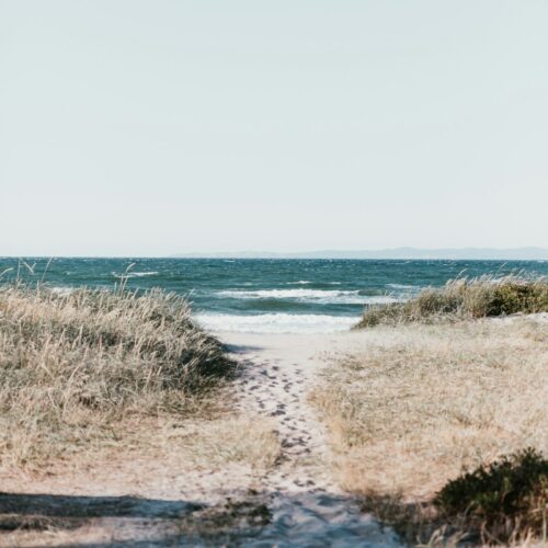 juno beach