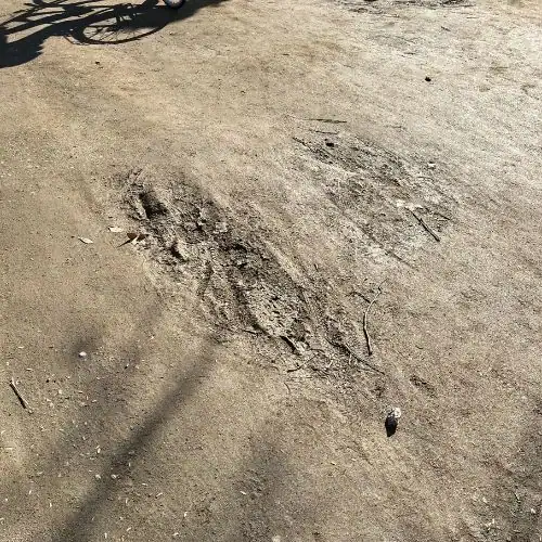 muddy gravel path