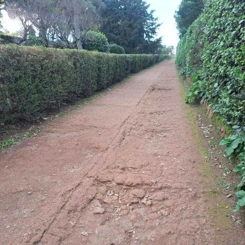 Picture uneven terrain palatine 1