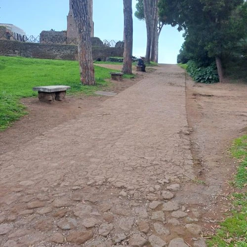 Picture uneven terrain palatine 2