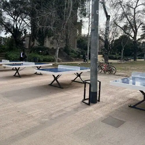 Ping Pong