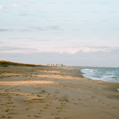 juno beach
