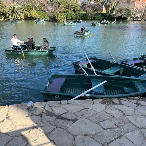 Rowing boats
