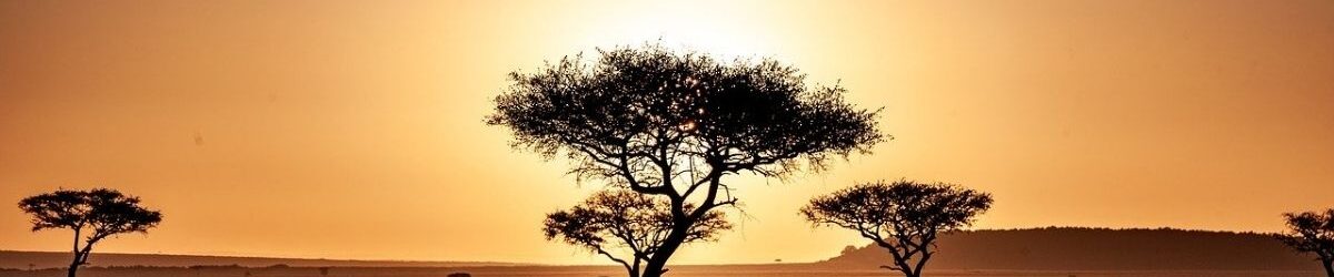 south africa
