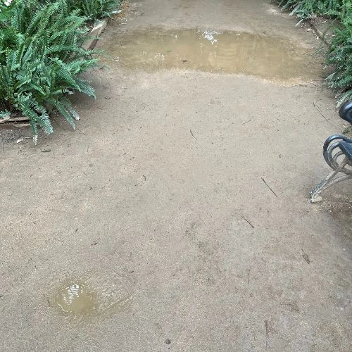 Puddle on the Umbracle floor