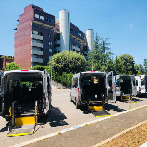 wheelchair accessible transfer